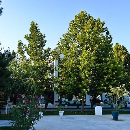 Mesecev Konak Bed and Breakfast Ni Esterno foto