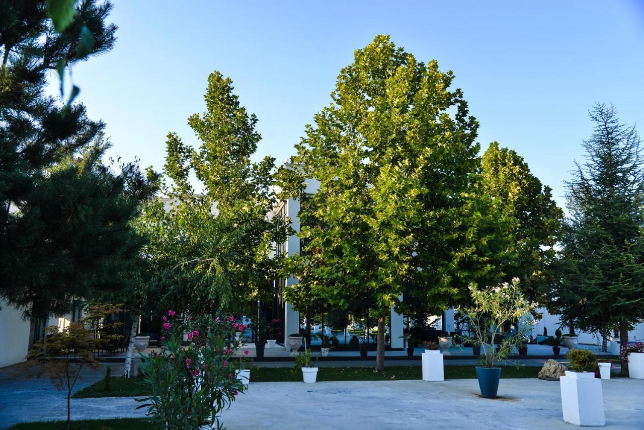 Mesecev Konak Bed and Breakfast Ni Esterno foto