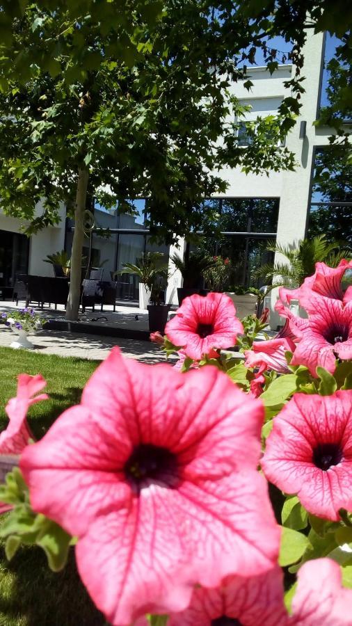 Mesecev Konak Bed and Breakfast Ni Esterno foto