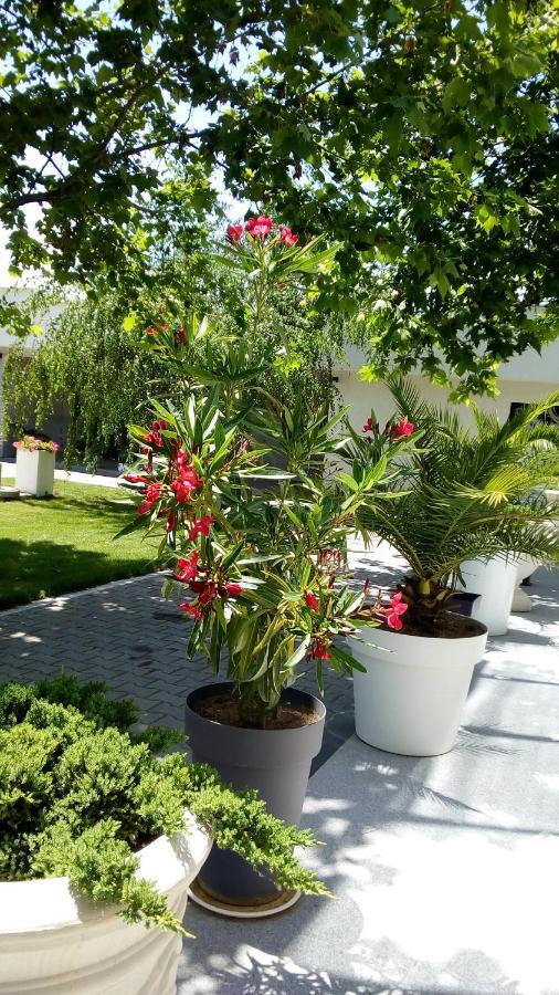 Mesecev Konak Bed and Breakfast Ni Esterno foto